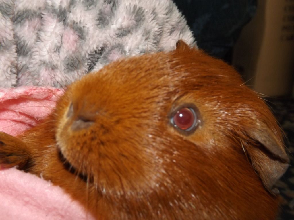 DSCF2586.jpg