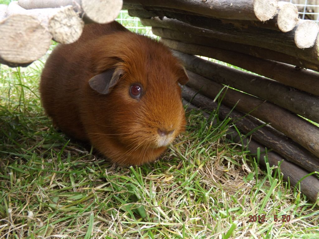 DSCF2270.jpg