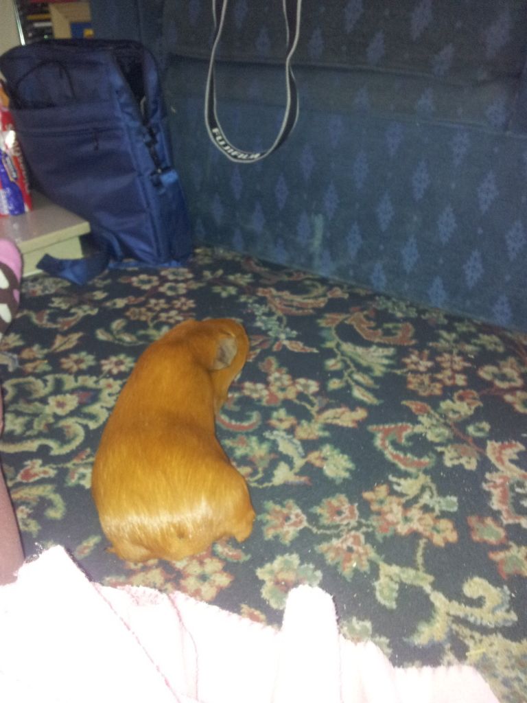 20120709_090817.jpg