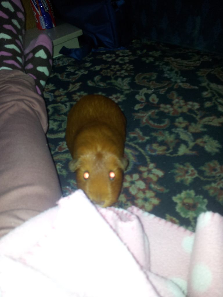 20120709_090826.jpg