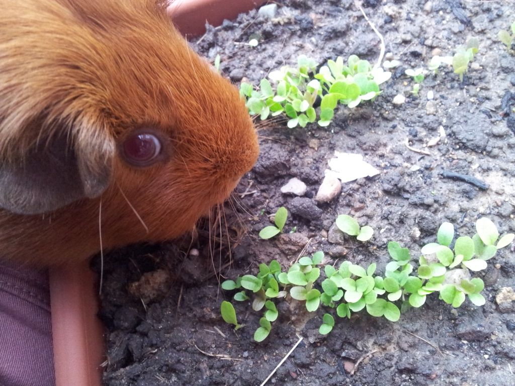 20120709_174338.jpg