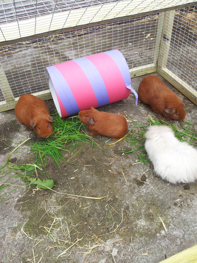 20120519_130333.jpg